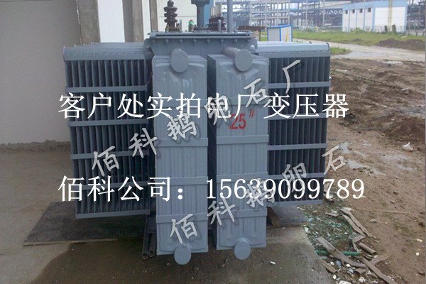客戶想要購買齊全的水處理鵝卵石到哪里去？
