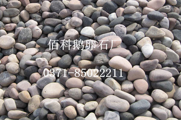 拋光白色鵝卵石、黑色鵝卵石生產(chǎn)廠家